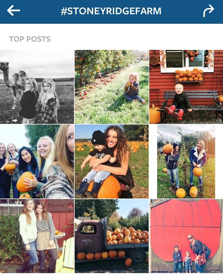 500+ pictures on Instagram are tagged #stoneyridgefarm