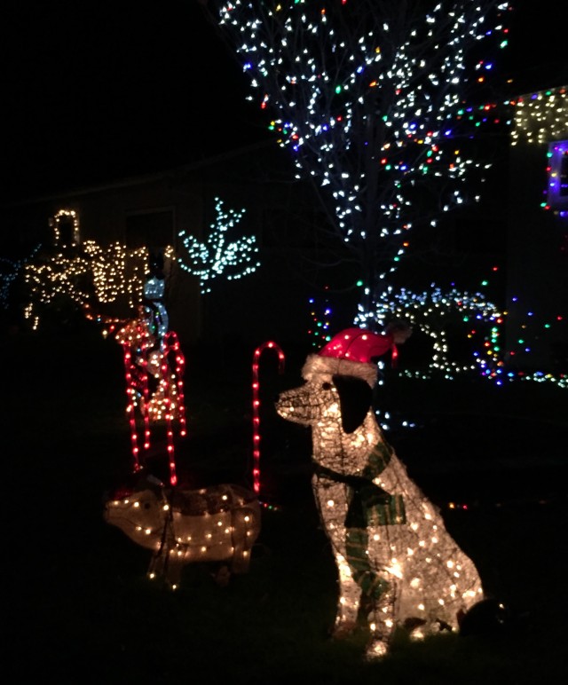 Lynden in Lights 2015: don’t miss these neighborhoods and homes ...