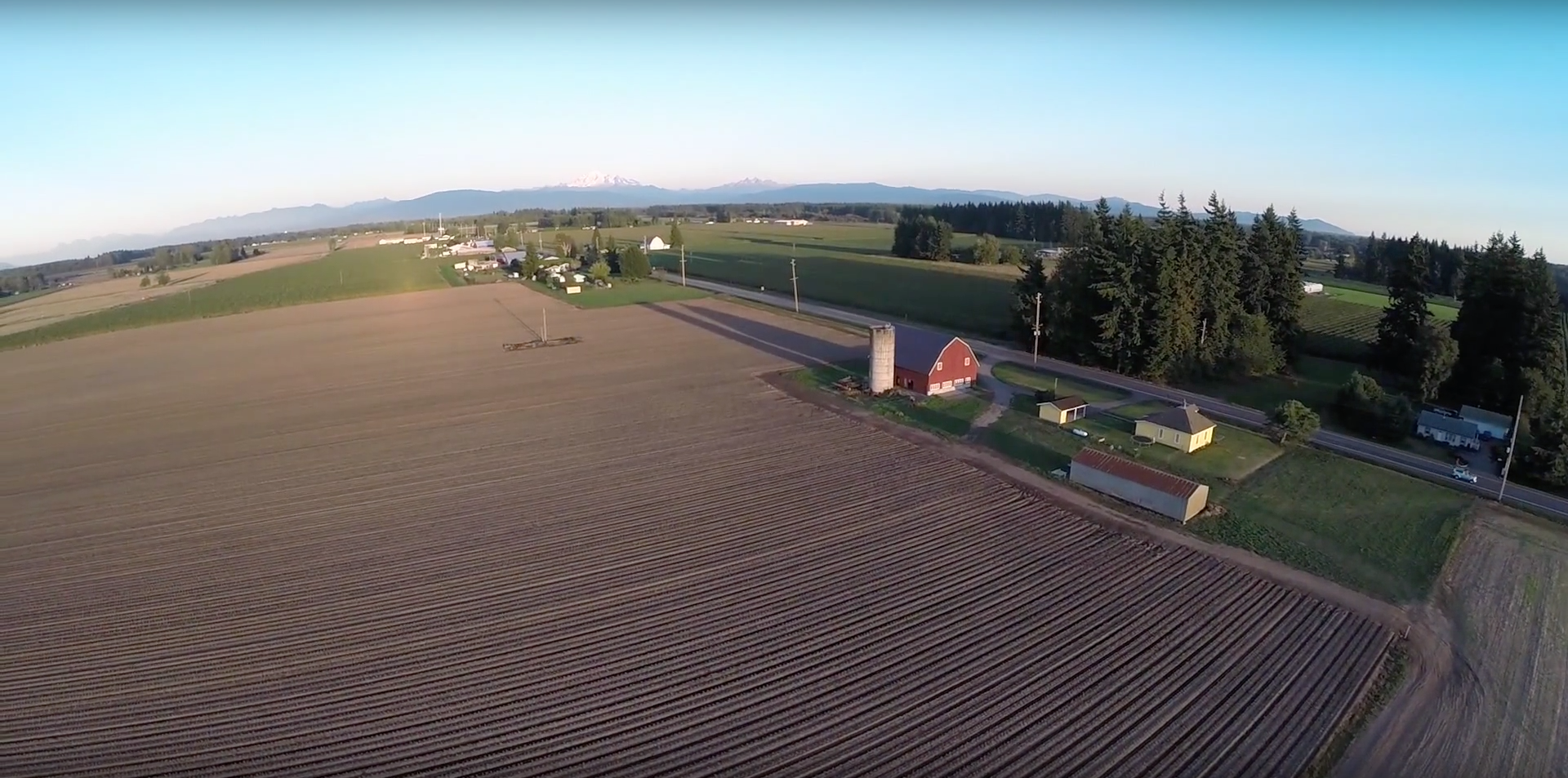 Beautiful Lynden Farmland